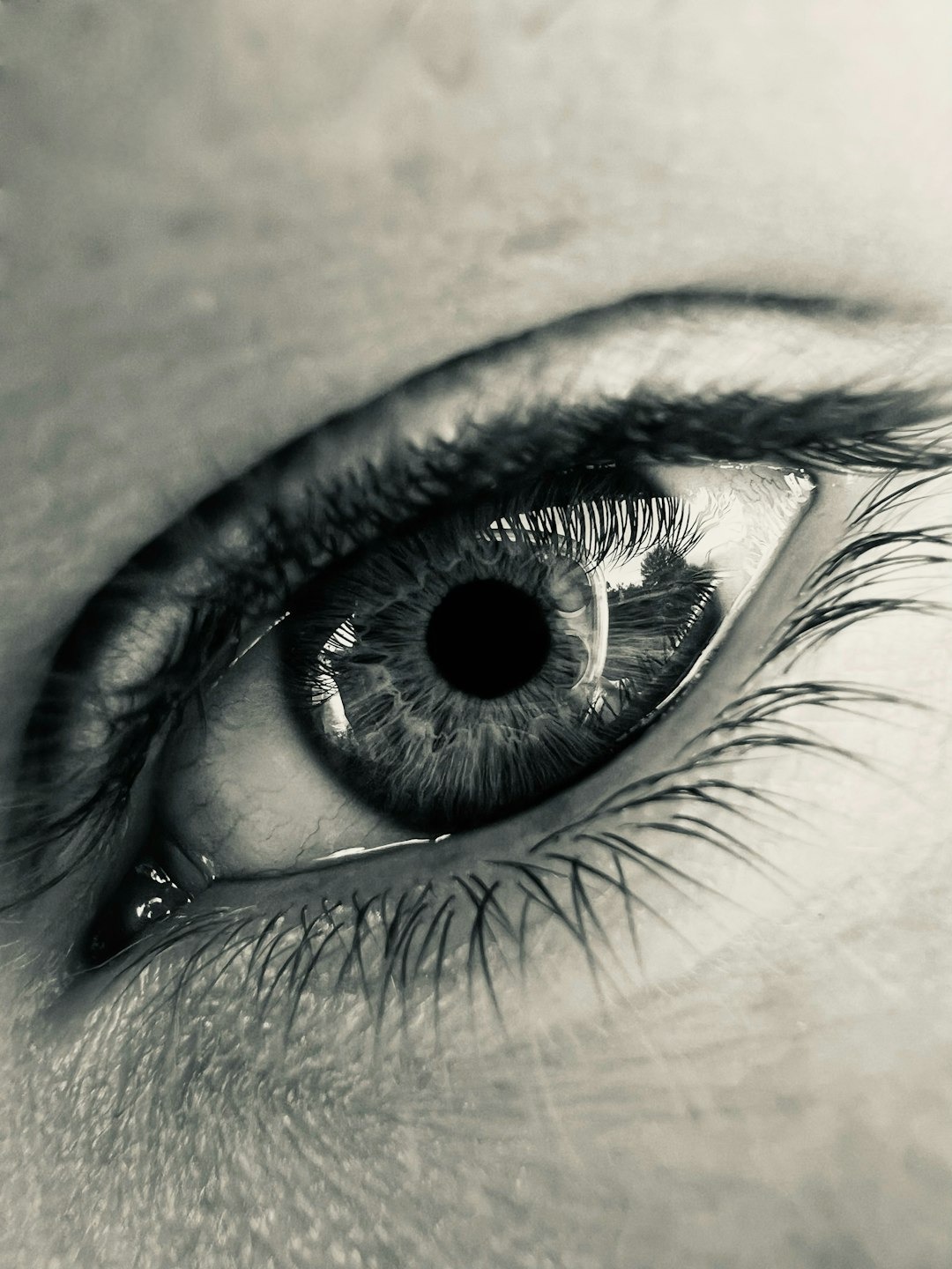 Detailed iris and pupil with long eyelashes.