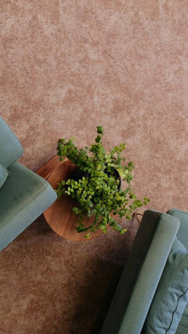 Two sage green armchairs with cushions on a reddish-brown floor.